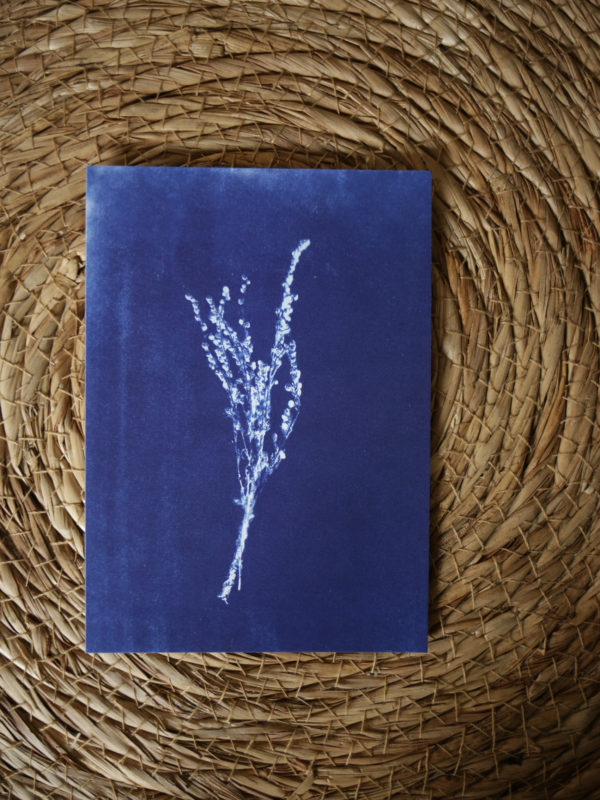 Cartes postales – Image 2