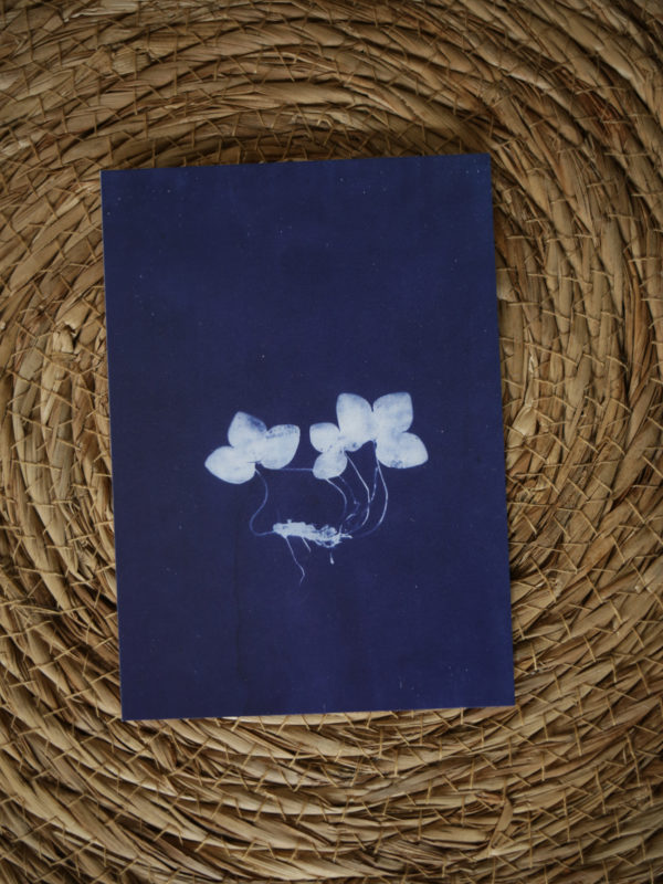 Cartes postales – Image 3