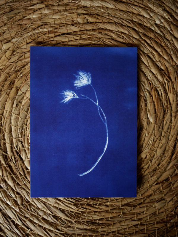 Cartes postales – Image 4