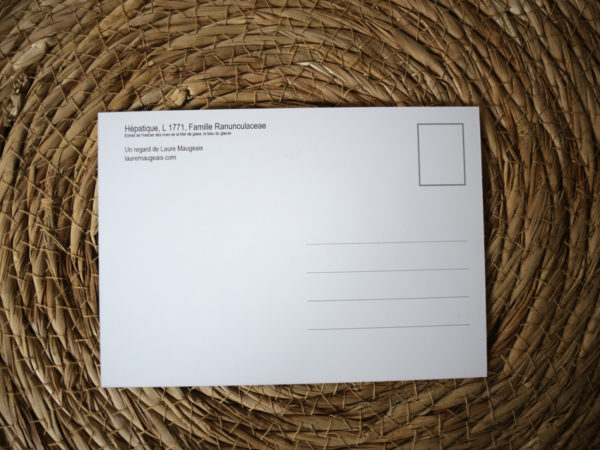 Cartes postales – Image 5